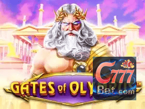 C777 APP mobile iOS Android - 187 mil downloads São Paulo Rio BH